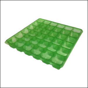 Sementeira com 36 células, de plástico verde.