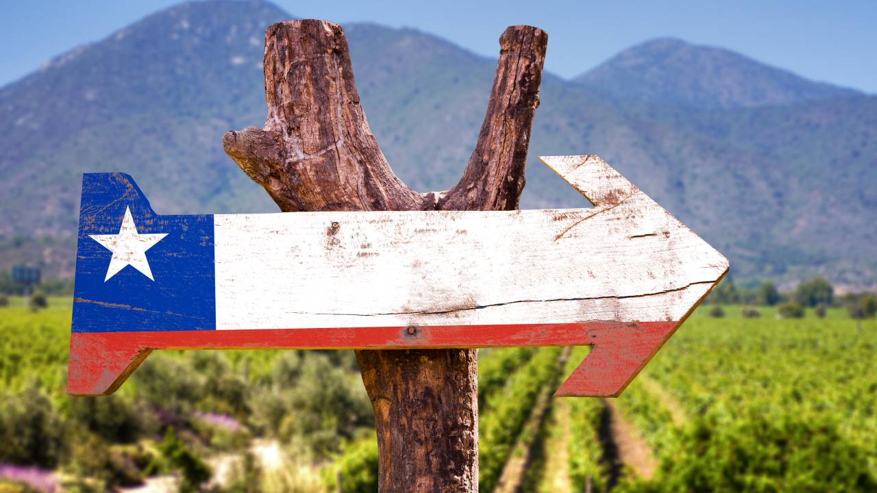 Placa de madeira com bandeira do Chile á frente de vinhedo com montanhas ao fundo