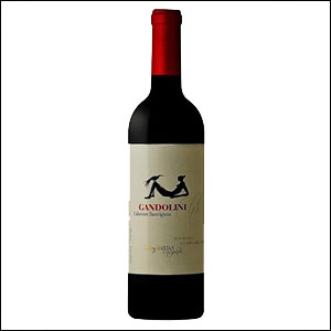 vinho-maipo-gandolini