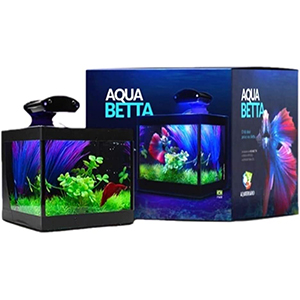 1-Aquário-Betteira-com-Iluminação-LED-Bivolt-e-Decoração-Aquabetta-17x15x15cm