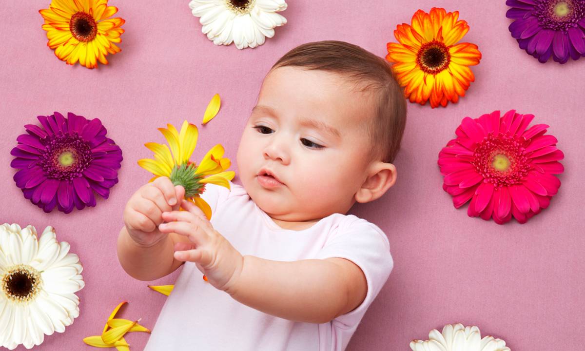 bebê entre flores coloridas